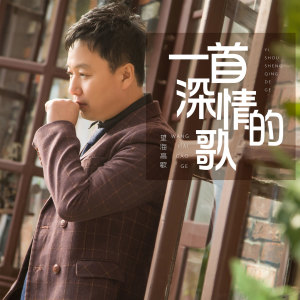 收聽望海高歌的一首深情的歌歌詞歌曲