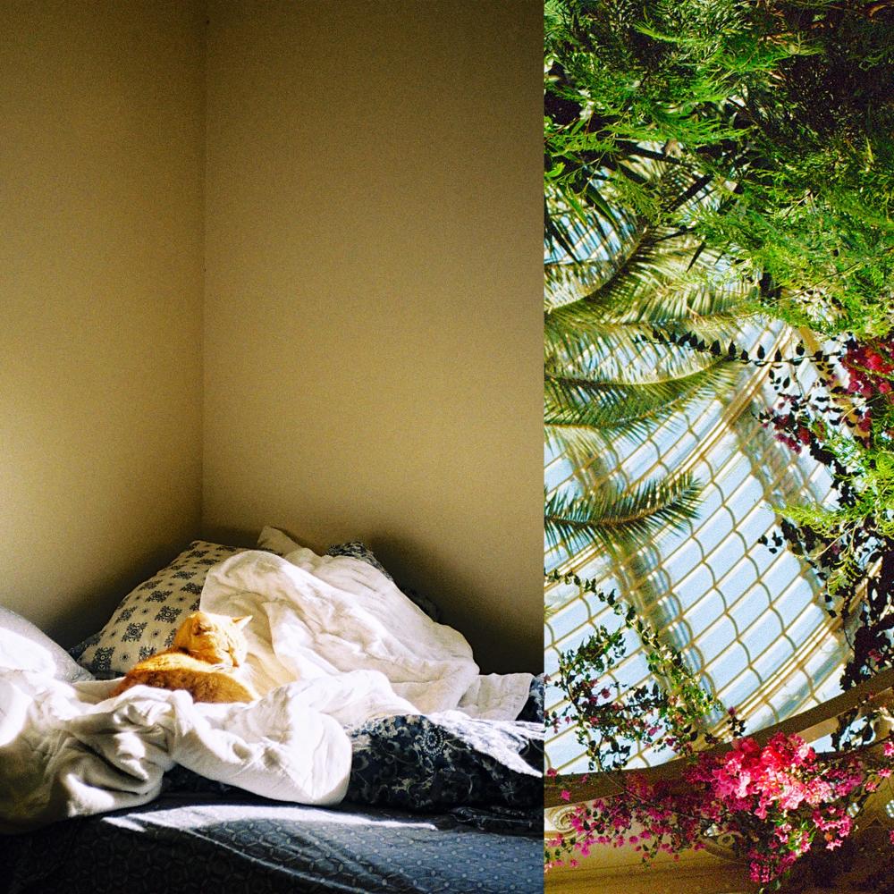 (GREAT) DAY OUTSIDE (Explicit)