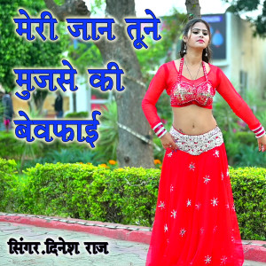 Listen to Meri Jan Tune Mujse Ki Bewfai song with lyrics from Dinesh Raj