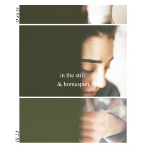 Album In the Still & Homespun Pt. III - EP from Alex G