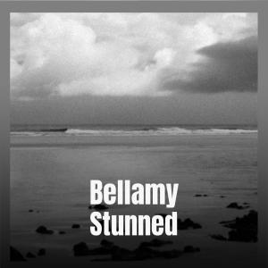 Dengarkan lagu Tissue Fib nyanyian Shian Gardo dengan lirik