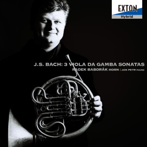 ดาวน์โหลดและฟังเพลง II. Adagio พร้อมเนื้อเพลงจาก ラデク・バボラーク