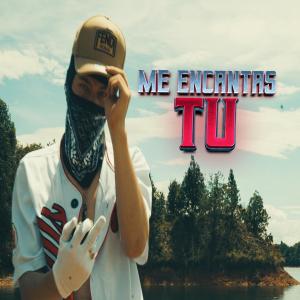 收聽Rei Panda的ME ENCANTAS TU歌詞歌曲