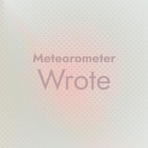 Various Artists的專輯Meteorometer Wrote