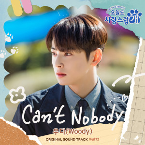 อัลบัม Can't Nobody (From "A Good Day to be a Dog" Original Television Sountrack, Pt. 1) ศิลปิน Woody