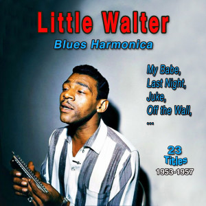 Listen to Hate to See You Go song with lyrics from Little Walter