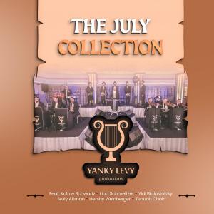 收聽Yanky Levy的Shukadeti & Parnusa (feat. Yidi Bialostozky)歌詞歌曲