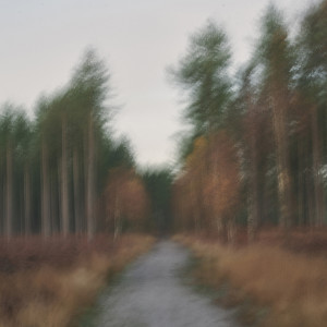 Listen to Here song with lyrics from Hiatus