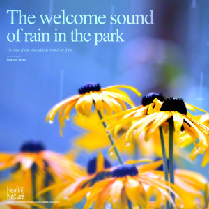 공원을 적시는 반가운 빗소리 The welcome sound of rain in the park.