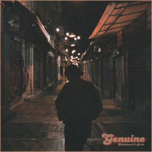 ดาวน์โหลดและฟังเพลง Genuine (Explicit) พร้อมเนื้อเพลงจาก Shagabond