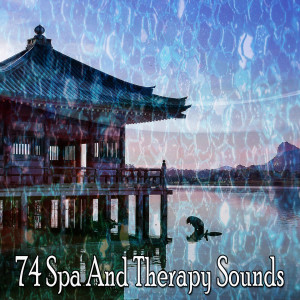 Zen Music Garden的專輯74 Spa and Therapy Sounds