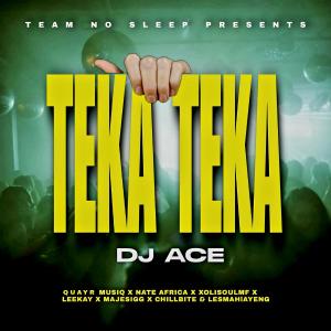 Listen to Teka Teka (feat. QuayR Musiq, Nate Africa, XolisoulMF, Leekay, Majestigg, Chillibite & Lesmahlanyeng) song with lyrics from DJ Ace