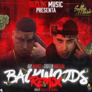 Backwoods (Remix) (Explicit)