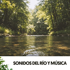 อัลบัม Sonidos del río y música: Melodias del flow ศิลปิน Dog Relaxation