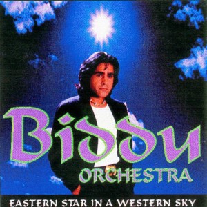 ดาวน์โหลดและฟังเพลง Rain Forest พร้อมเนื้อเพลงจาก The Biddu Orchestra