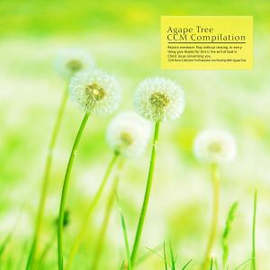 Listen to The Way You Trust In The Lord song with lyrics from Jung Seonyul