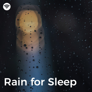 Rain Sleep的專輯Rain for Sleep: Gentle Deep Sleep Therapy