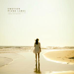 Album A calm emotional piano collection with longing from Various Artists