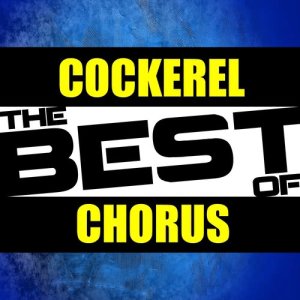 收聽Cockerel Chorus的Glory,Glory Tottenham Hotspur (Spurs Go Marching On)歌詞歌曲