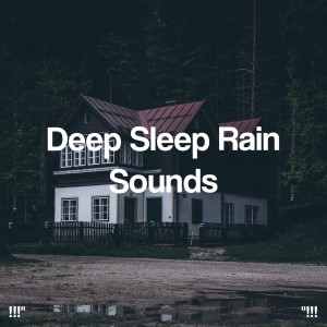 "!!! Deep Sleep Rain Sounds!!!"