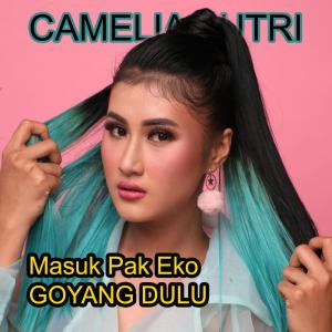 Dengarkan lagu Masuk Pak Eko Goyang Dulu nyanyian Camelia Putri dengan lirik