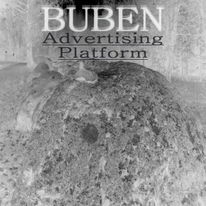 Album Advertising Platform from Buben