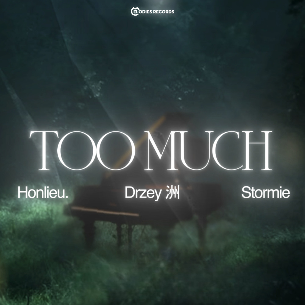 TOO MUCH