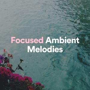 Focused Ambient Melodies