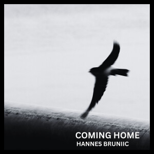 Listen to Coming Home song with lyrics from Hannes Bruniic