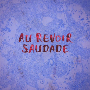 Album Avril Ipanema from Au Revoir Saudade