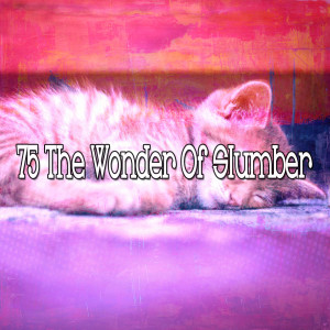 收聽Sleep Sounds of Nature的Forty Winks歌詞歌曲