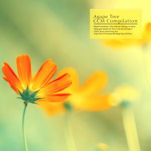 Listen to In The Mercy Of The Lord song with lyrics from Yoo Odia