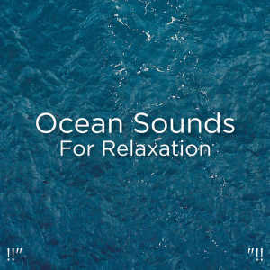 Dengarkan Deep Sleep Sounds lagu dari Ocean Waves for Sleep dengan lirik