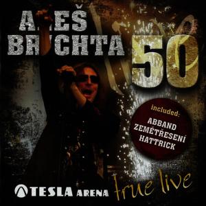 ดาวน์โหลดและฟังเพลง Dívka s perlami ve vlasech (Gyongyhaju Lany) พร้อมเนื้อเพลงจาก Aleš Brichta Band