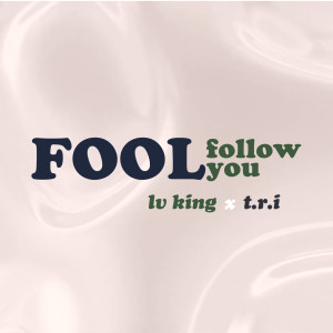 Album Fool Follow You from LV King