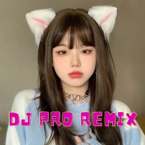 Listen to DJ OH SAYANG NGANA INI BAGAIMANA song with lyrics from DJ PRO REMIX