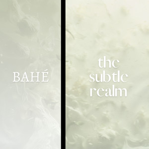 Bahe的專輯The Subtle Realm