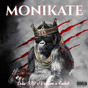 Sebv 970的專輯Monikate