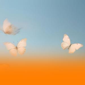 收聽Chill Bees的Emotional Healing Music With Soothing River Sounds And Gentle Piano With Relaxing Harp歌詞歌曲