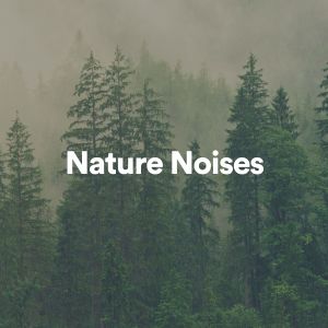 Nature's Noise的专辑Nature Noises