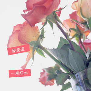 收听一点红云的梨花泪 (伴奏)歌词歌曲