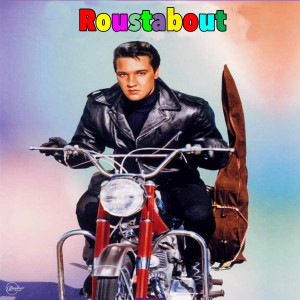 ดาวน์โหลดและฟังเพลง Hard Knocks พร้อมเนื้อเพลงจาก Elvis Presley