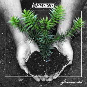 收聽Malokio的Araucamía歌詞歌曲