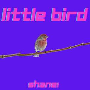 Dengarkan Little Bird lagu dari SHANE! dengan lirik
