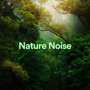 White Noise Sleep Music的专辑Nature Noise (White Noise from Nature)