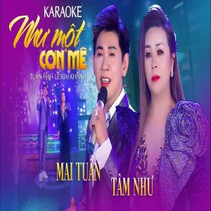 Album Như Một Cơn Mê from Mai Tuấn