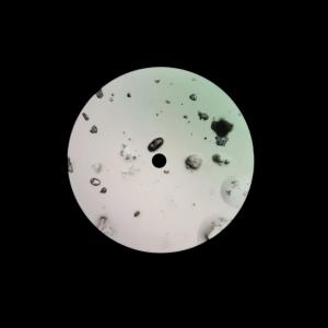 ดาวน์โหลดและฟังเพลง Grasping Horizon พร้อมเนื้อเพลงจาก Subtil