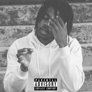 收聽Ferlo Narco的TAMMANY'S VIEW (Explicit)歌詞歌曲