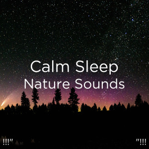 Listen to Meditation Ocean Music song with lyrics from Deep Sleep
