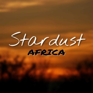 Listen to Zebra song with lyrics from Stardust